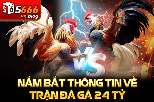 Trận Đá Gà 24 Tỷ Gây Chấn Động Cao Thủ So Tài Kịch Tính 2 Nắm bắt thông tin về trận đá gà 24 tỷ