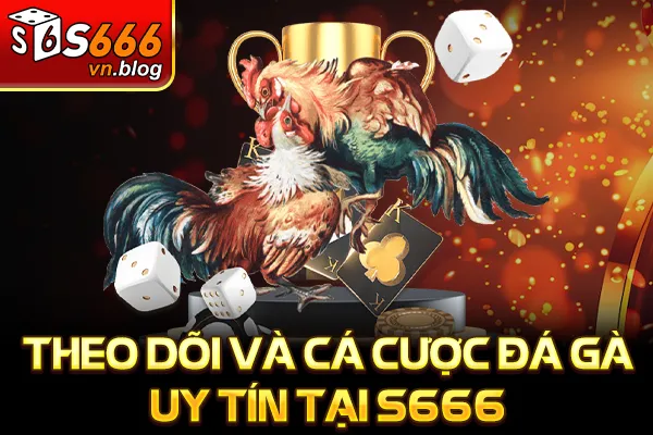 Trận Đá Gà 24 Tỷ Gây Chấn Động Cao Thủ So Tài Kịch Tính 4 Theo dõi và cá cược đá gà uy tín tại S666